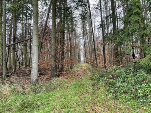 Bauhübel ab Mehlbach