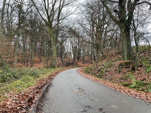 Bauhübel ab Mehlbach