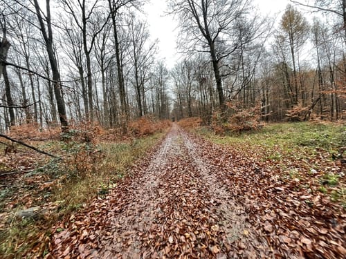 Bauhübel ab Mehlbach
