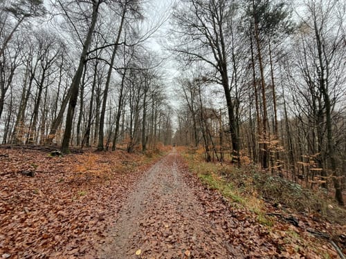 Bauhübel ab Mehlbach
