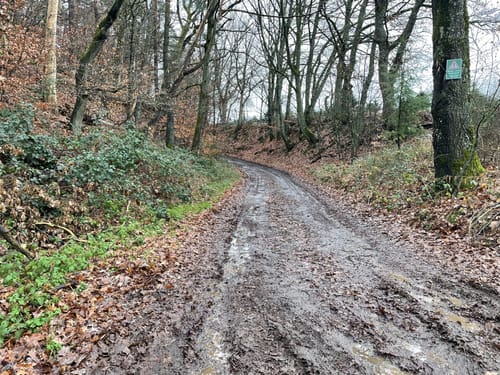 Bauhübel ab Mehlbach