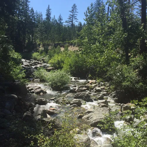 Best 10 Hiking Trails in Plumas National Forest | AllTrails