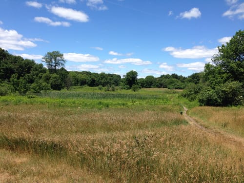 Best hikes and trails in Rock Meadow Conservation Area | AllTrails