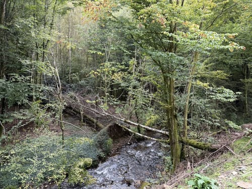 Bonerather Rundweg