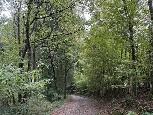 Bonerather Rundweg
