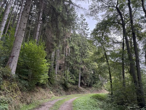 Bonerather Rundweg