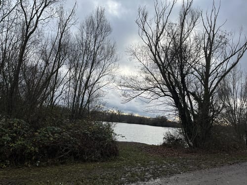 Von Germersheim zu den Scherer