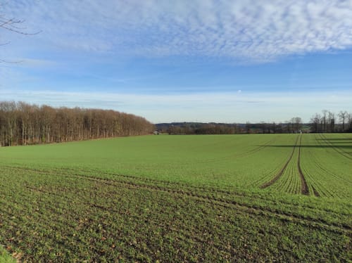 Rund um Isenbügel