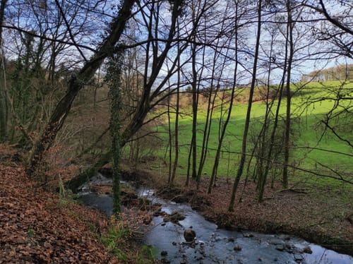 Rund um Isenbügel