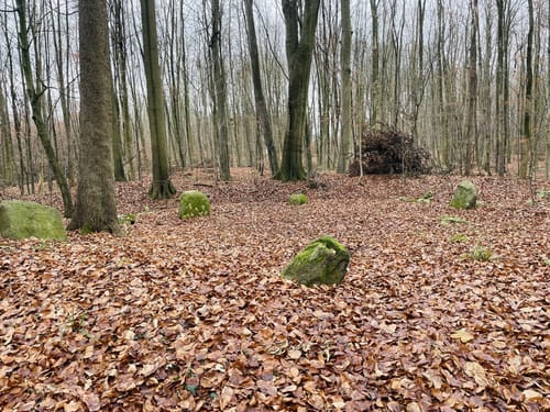Warnow - Boitiner Steintanz