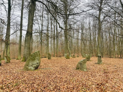 Warnow - Boitiner Steintanz