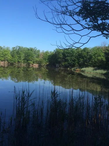 Cheesequake state clearance park hiking