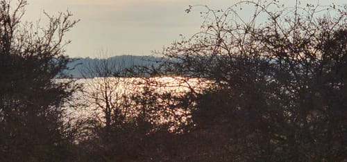Runde auf Devin