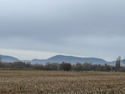 Durch den Landauer Osten
