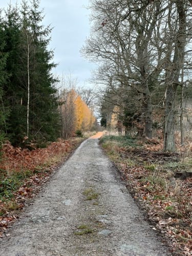 Wehebachtalsperre Merode-Schevenhütte