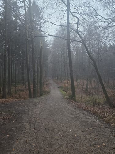 Itzehoer Wanderweg Nr. 1