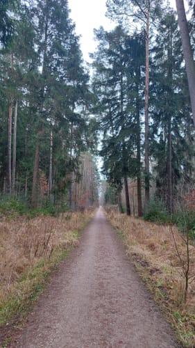 Geheimnisse im Erlanger Osten