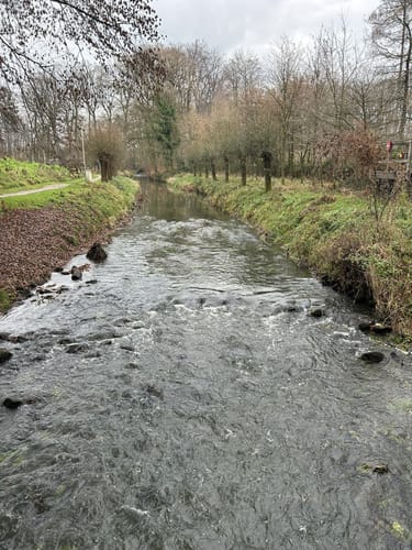 Witte Veen 3 (Ahaus Nr. 14)