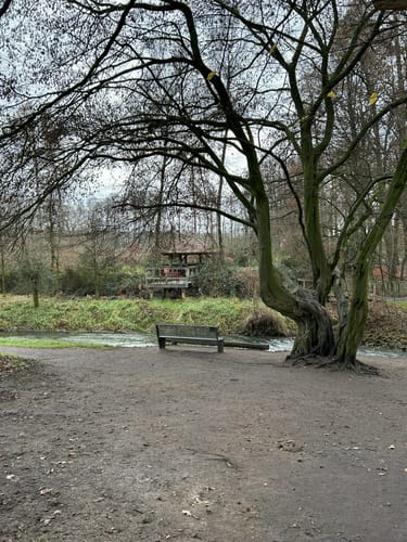 Witte Veen 3 (Ahaus Nr. 14)