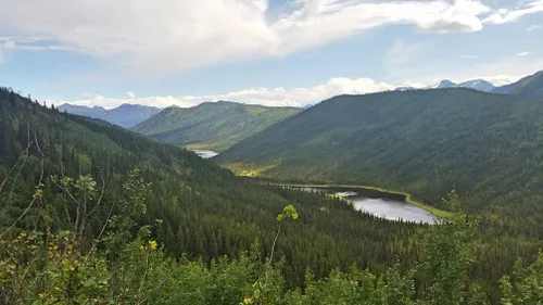 Best 10 Hiking Trails in Denali National Park