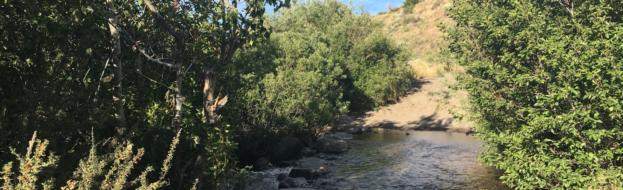 Hunter Creek Trail 3867 Reviews, Map Nevada AllTrails