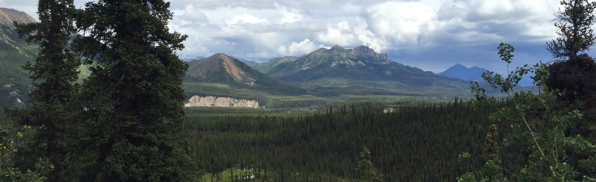 Rock Creek Trail Alaska 399 Reviews Map AllTrails