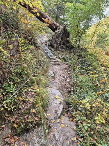 Geierlayschleife (Premiumwanderweg)