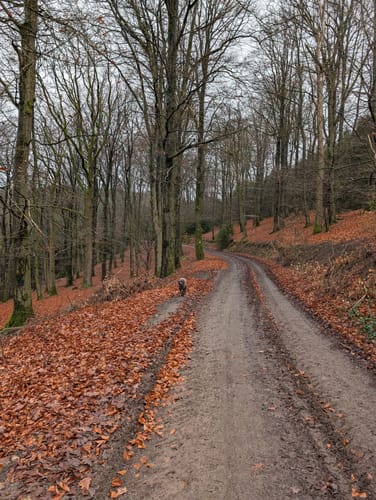 Rundweg Endorf - Endorfer Hütte