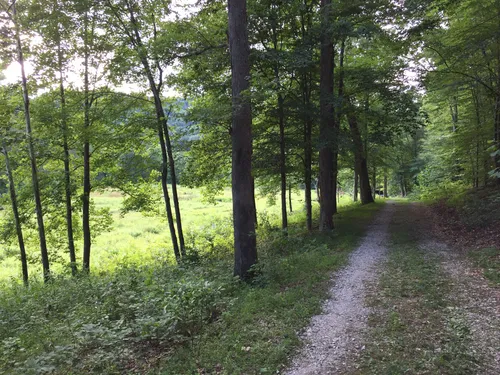 Best 10 Hiking Trails in Forks of Coal State Natural Area Foundation | AllTrails