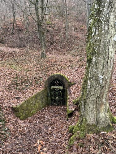 Donnersberg - Falkenstein