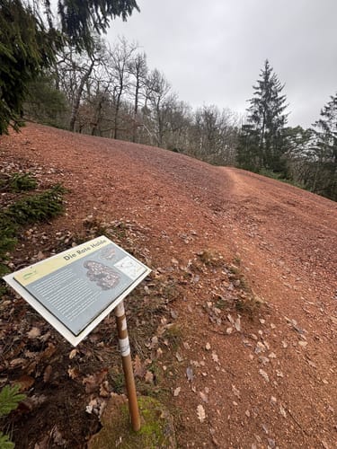 Donnersberg - Falkenstein