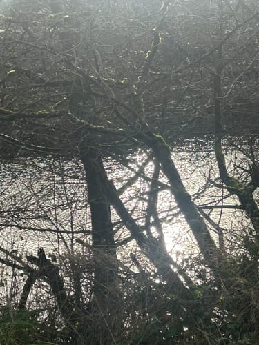 Hückeswagener Wasserweg
