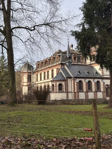 Durchs Wäldchen hinterm Schloss Ahrental