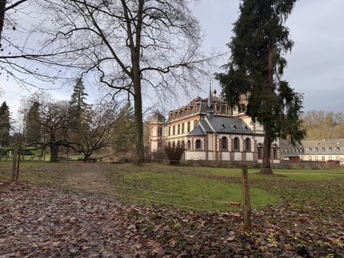Durchs Wäldchen hinterm Schloss Ahrental