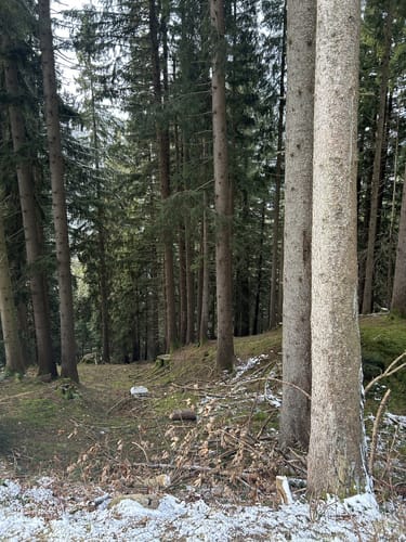 Pfronten - Edelsberghütte