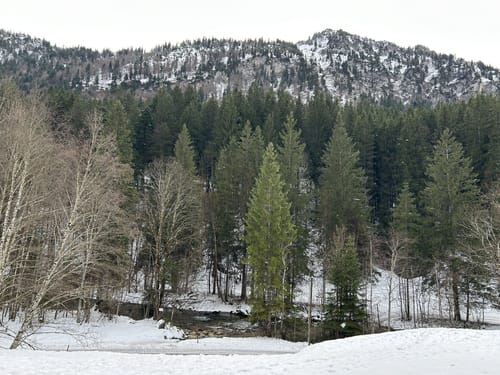 Pfronten - Edelsberghütte