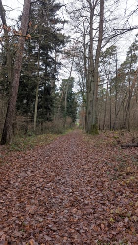 Von Wertheim nach Reicholzheim