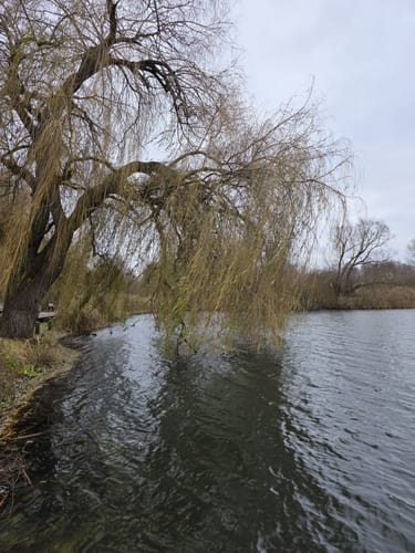Südsee Rundwanderung