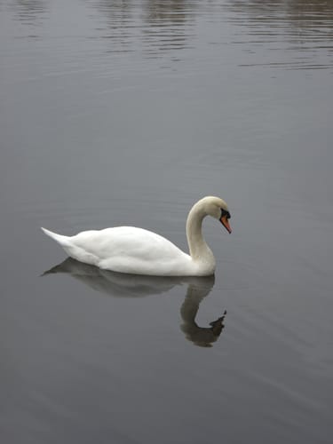 Südsee Rundwanderung