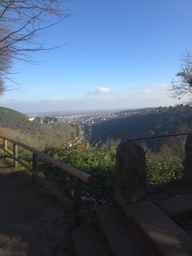 Bad Dürkheim - Kloster Limburg - Bad Dürkheim