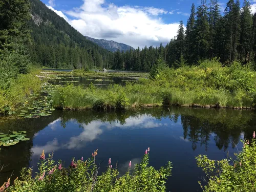 10 Best Hikes and Trails in North Cascades National Park AllTrails