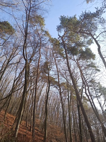 Werbelner Geschichtenweg