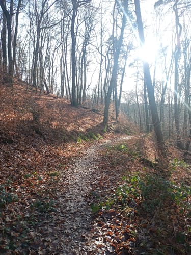 Werbelner Geschichtenweg