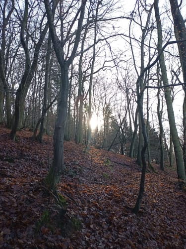 Werbelner Geschichtenweg