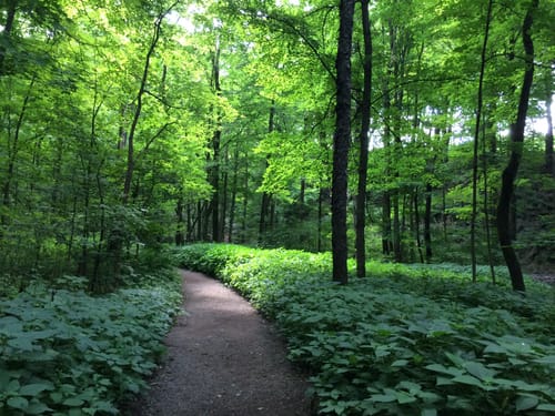 Mcconnells Mill Trail Map Best 10 Trails In Mcconnells Mill State Park Alltrails