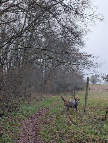 Nohener Naheschleife (Premiumwanderweg)