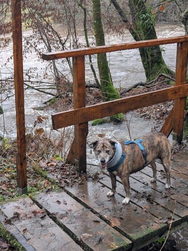 Nohener Naheschleife (Premiumwanderweg)