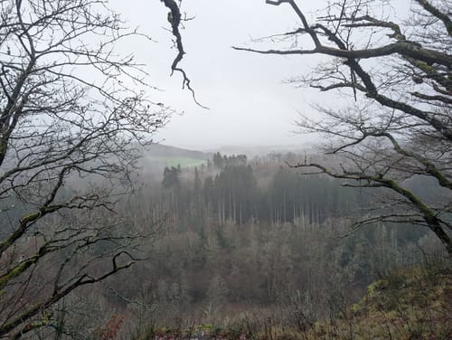 Nohener Naheschleife (Premiumwanderweg)