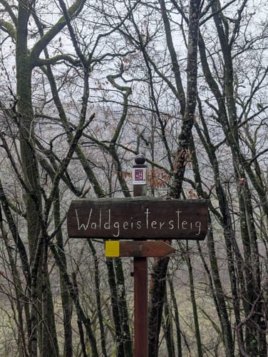 Nohener Naheschleife (Premiumwanderweg)