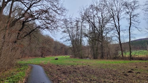Ilmtal-Radweg Etappe 2: Kranichfeld - Weimar